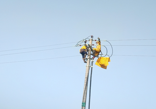 濟南至高清高速公路工程電力設施遷改工程——不停電作業(yè)項目：帶電拆火現(xiàn)場