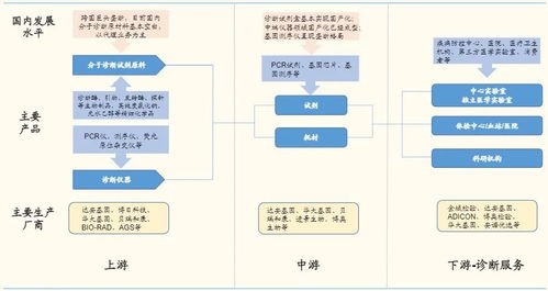 體外診斷3.0時代 分子診斷百花齊放，基礎軟件是決勝先機